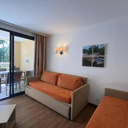 C036 Au Sein D'une Belle De * Cannes